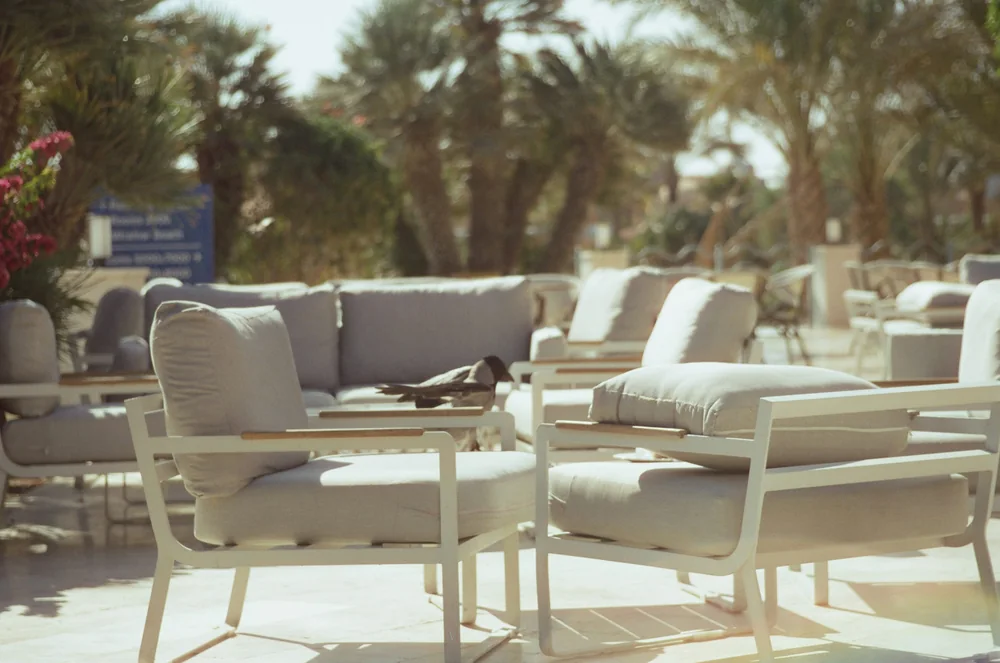 Outdoor decorating ideas